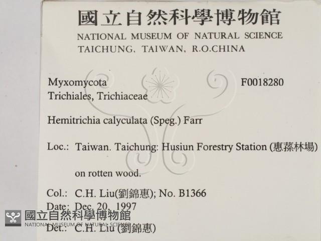 登錄號:F0018280藏品圖，第2張