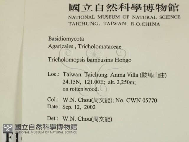 登錄號:F0016280藏品圖，第2張