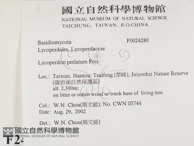 登錄號:F0024280藏品圖，第2張
