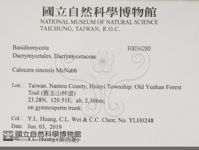 登錄號:F0034280藏品圖，第2張