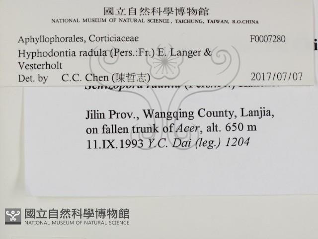 登錄號:F0007280藏品圖，第2張