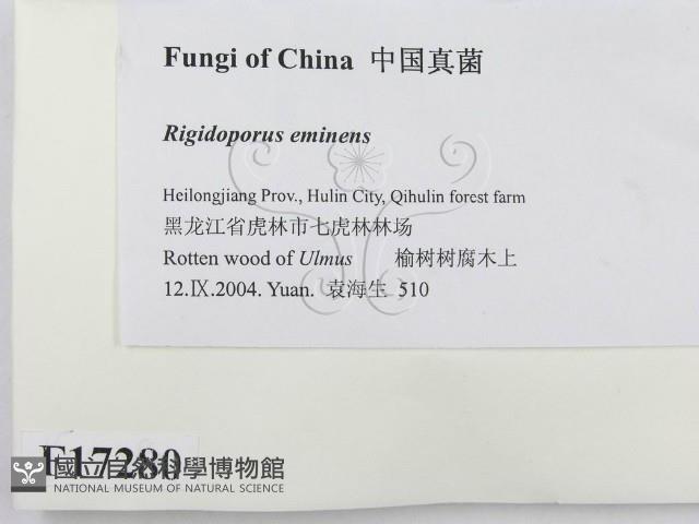 登錄號:F0017280藏品圖，第2張