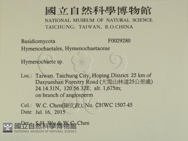刺革菌屬藏品圖，第2張