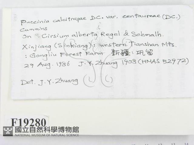登錄號:F0019280藏品圖，第2張