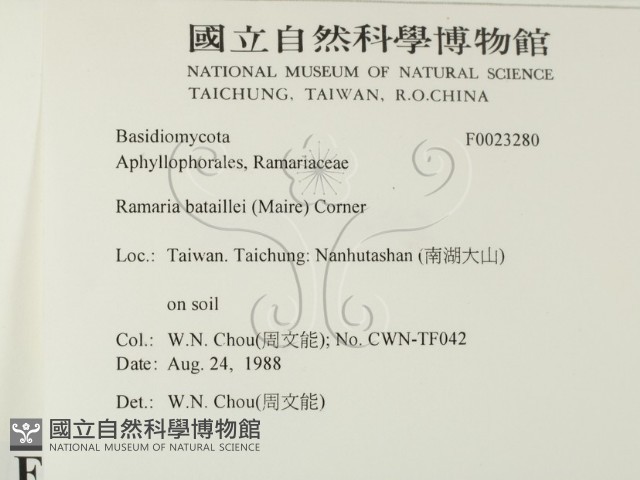 登錄號:F0023280藏品圖，第2張