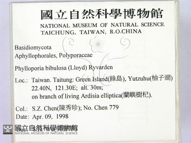 登錄號:F0008880藏品圖，第2張