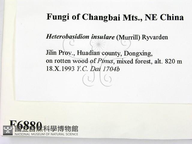 登錄號:F0006880藏品圖，第2張