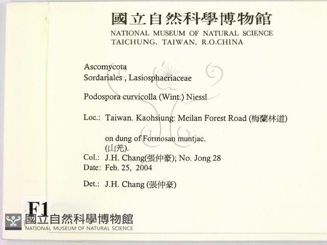 登錄號:F0016880藏品圖，第2張
