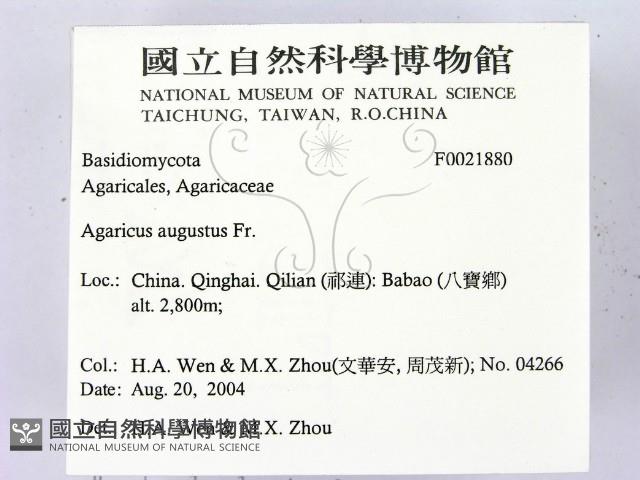 登錄號:F0021880藏品圖，第2張