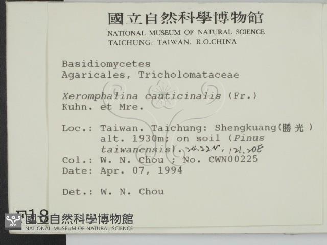 登錄號:F0001880藏品圖，第2張