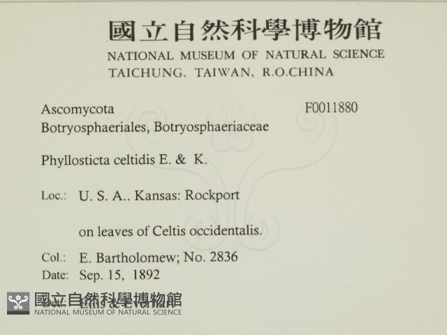 登錄號:F0011880藏品圖，第2張