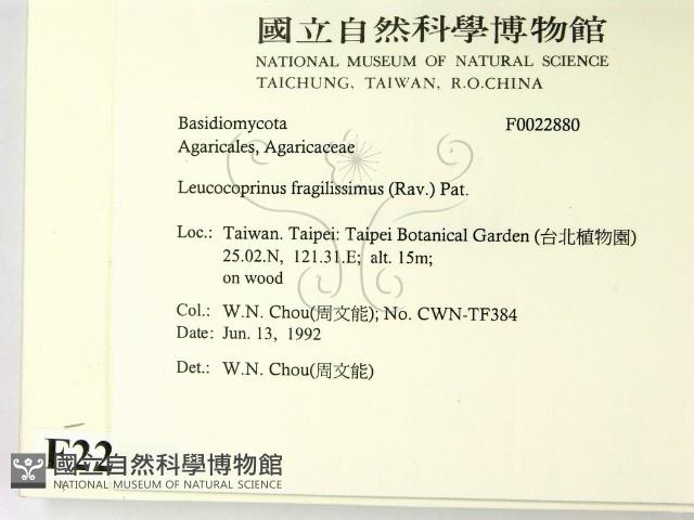 登錄號:F0022880藏品圖，第2張