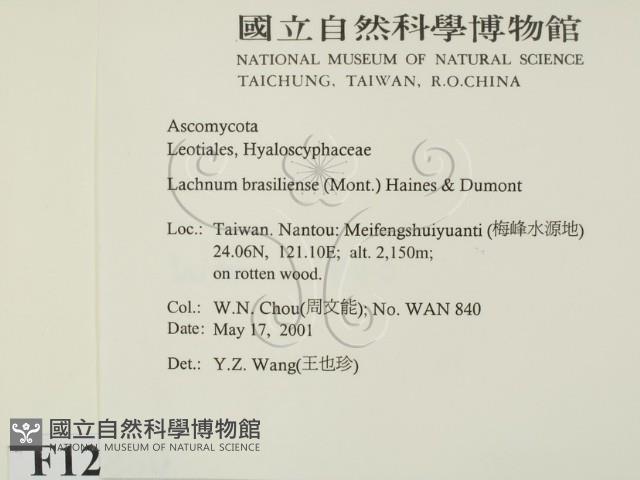登錄號:F0012880藏品圖，第2張