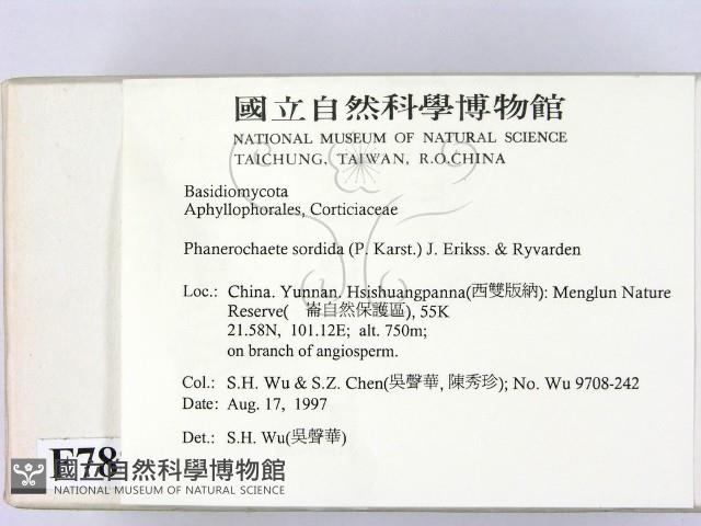 登錄號:F0007880藏品圖，第2張