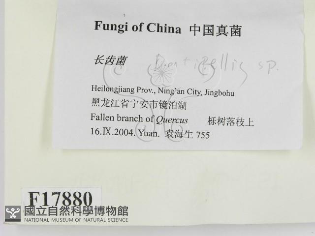 登錄號:F0017880藏品圖，第2張