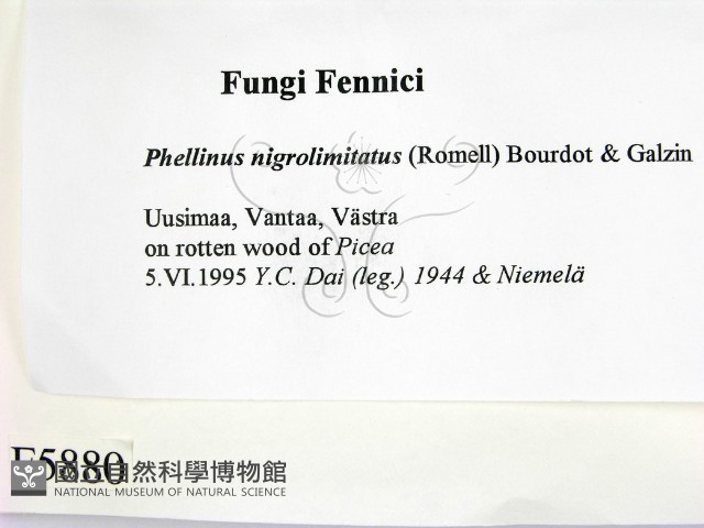 登錄號:F0005880藏品圖，第2張