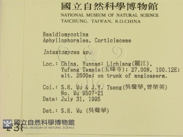 登錄號:F0003880藏品圖，第2張