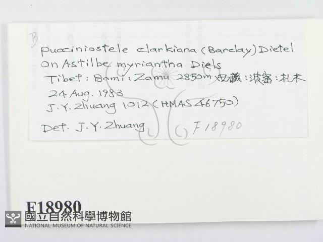 登錄號:F0018980藏品圖，第2張
