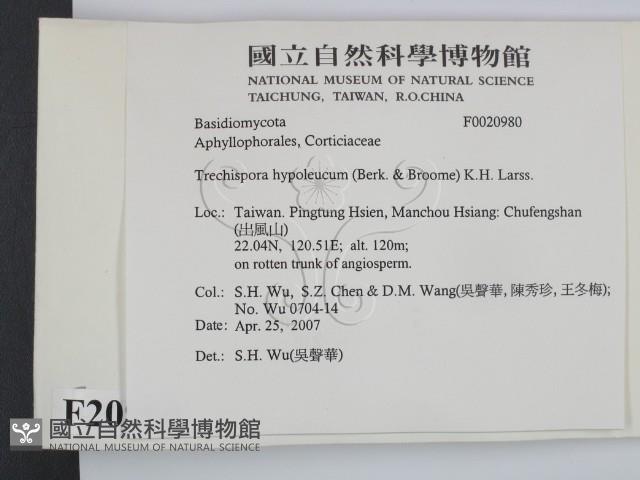 登錄號:F0020980藏品圖，第2張