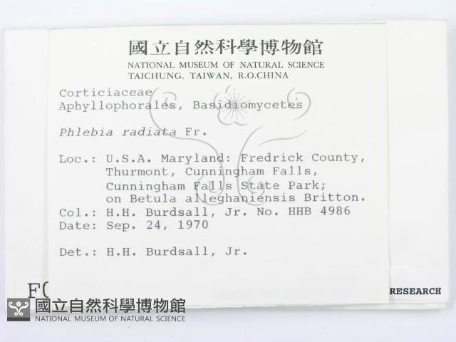 登錄號:F0000980藏品圖，第2張