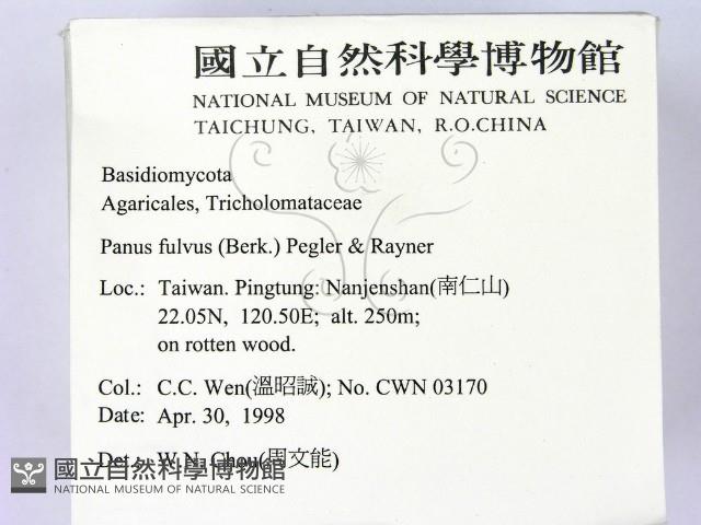 登錄號:F0010980藏品圖，第2張