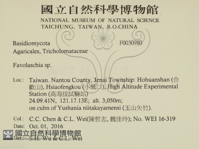 登錄號:F0030980藏品圖，第2張