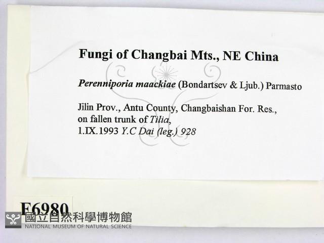 登錄號:F0006980藏品圖，第2張