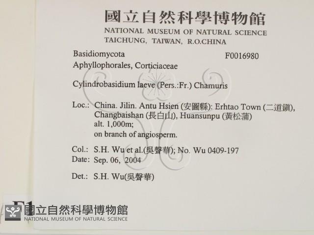 登錄號:F0016980藏品圖，第2張