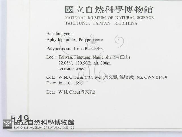 登錄號:F0004980藏品圖，第2張