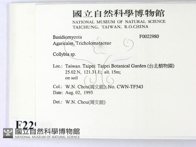 登錄號:F0022980藏品圖，第2張