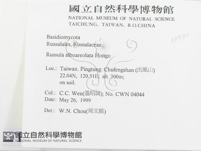 登錄號:F0012980藏品圖，第2張