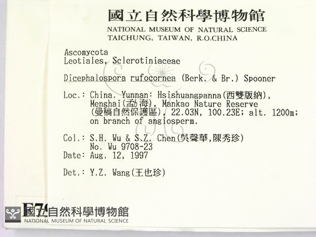 登錄號:F0007980藏品圖，第2張