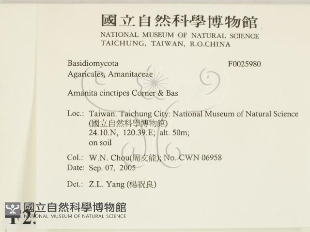 登錄號:F0025980藏品圖，第2張