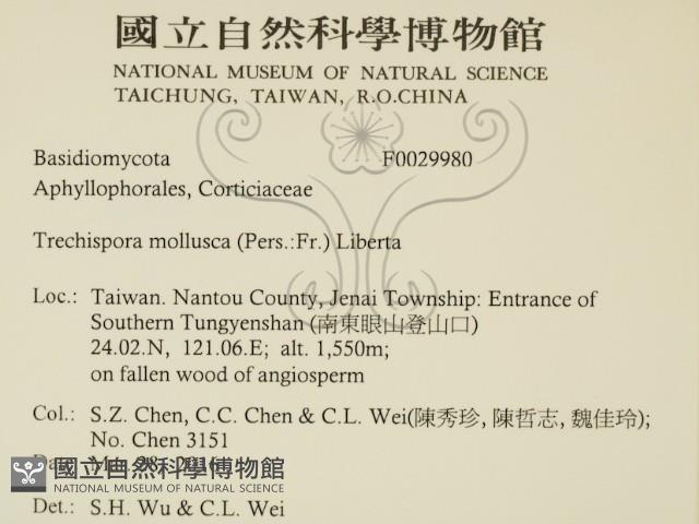 粗糙孢菌屬藏品圖，第2張