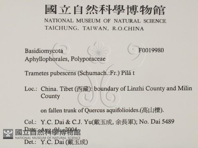 登錄號:F0019980藏品圖，第2張