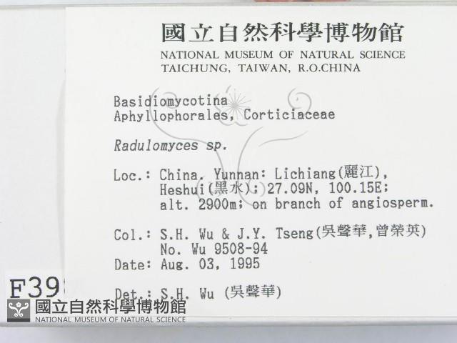 登錄號:F0003980藏品圖，第2張