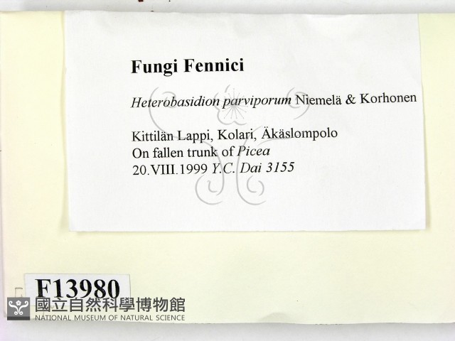 登錄號:F0013980藏品圖，第2張