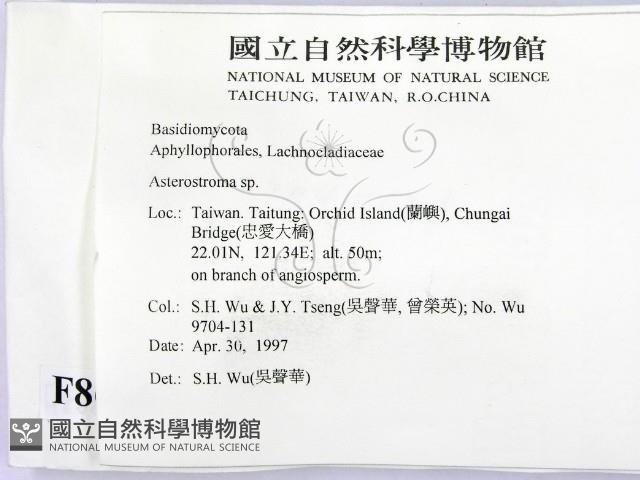 登錄號:F0008680藏品圖，第2張