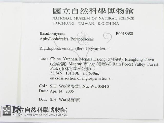 登錄號:F0018680藏品圖，第2張