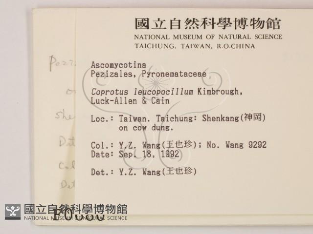 登錄號:F0000680藏品圖，第2張