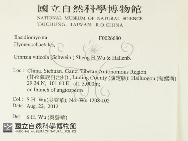 登錄號:F0026680藏品圖，第2張