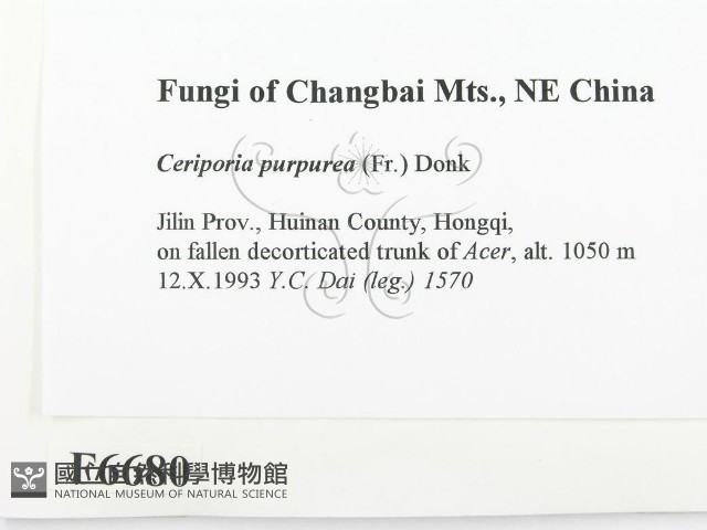 登錄號:F0006680藏品圖，第2張