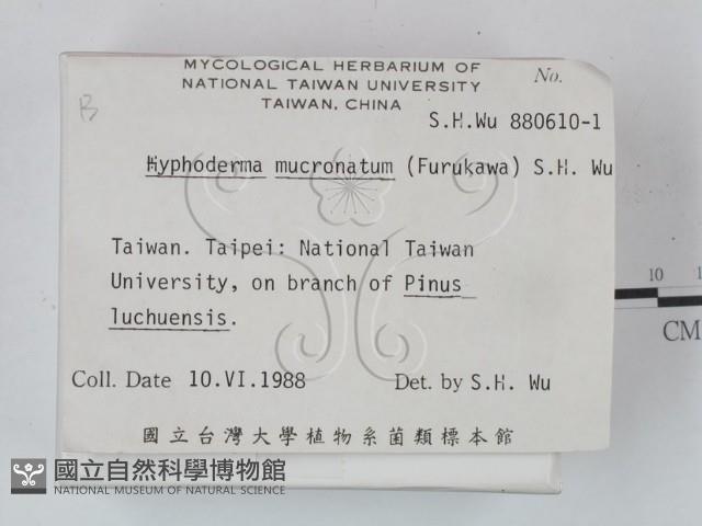 登錄號:F0021680藏品圖，第2張