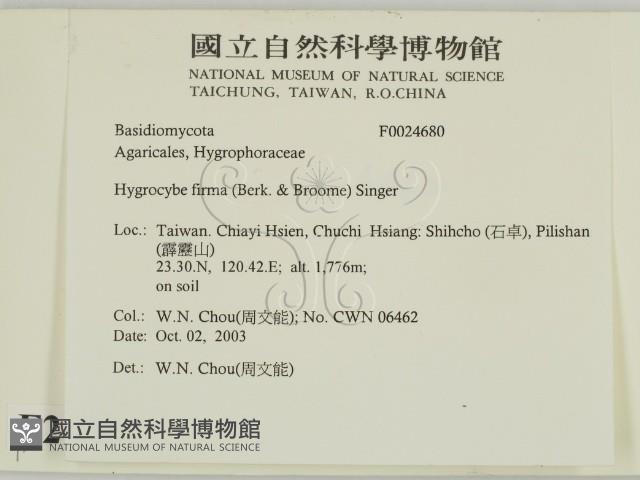 登錄號:F0024680藏品圖，第2張