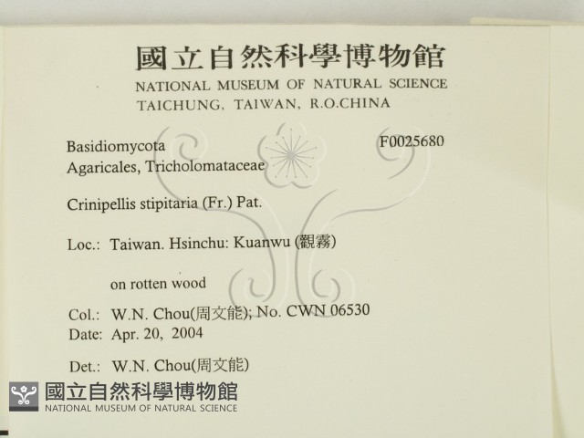 登錄號:F0025680藏品圖，第2張
