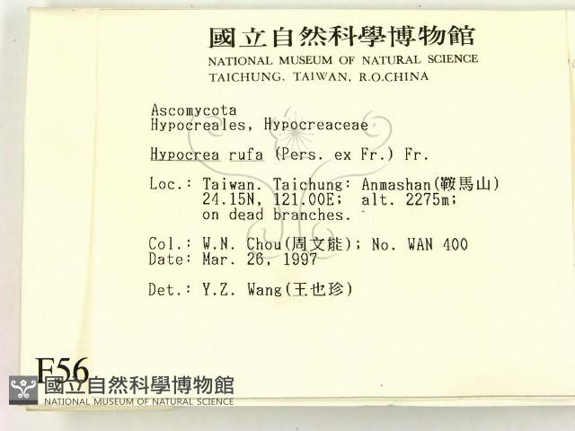 登錄號:F0005680藏品圖，第2張