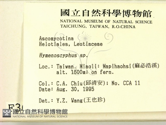 登錄號:F0003680藏品圖，第2張