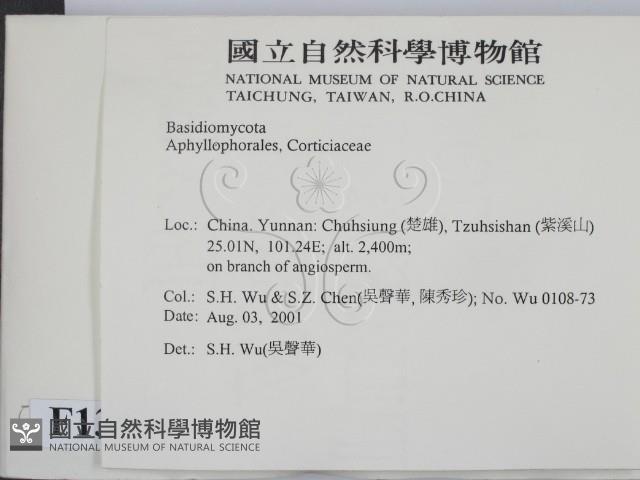 登錄號:F0013680藏品圖，第2張