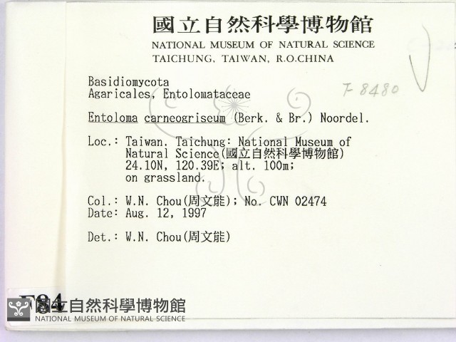 登錄號:F0008480藏品圖，第2張