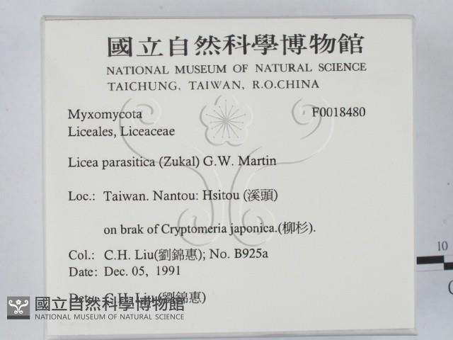 登錄號:F0018480藏品圖，第2張